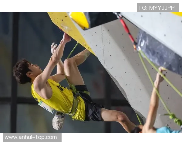 重庆攀岩队与南京攀岩队赛后战术分析与总结